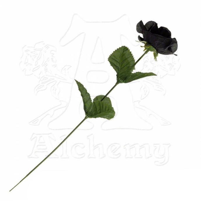 Noir des roses Noir Imitation Rose - Alchemy Gothic
