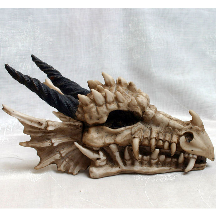 boîte (décoration) Dragon Skull